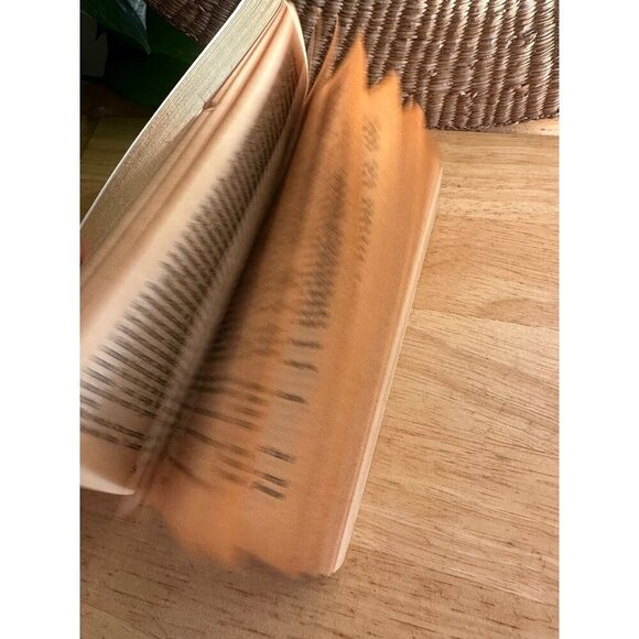 Adult Memoirs of Paris in the 1920’s book - Picture 4 of 9